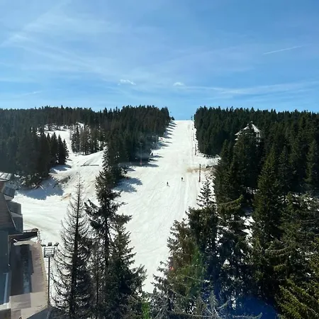 Woodside Lux Duplex Daire Kopaonik