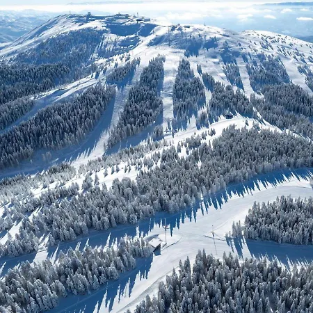 Daire Woodside Lux Duplex *