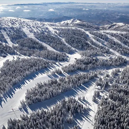 Woodside Lux Duplex Daire