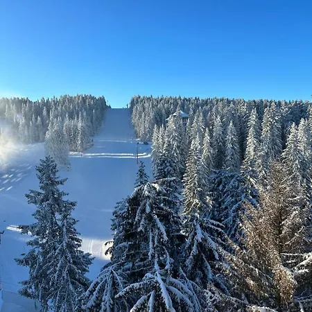 Woodside Lux Duplex Daire *