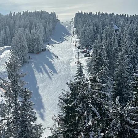 Woodside Lux Duplex Daire